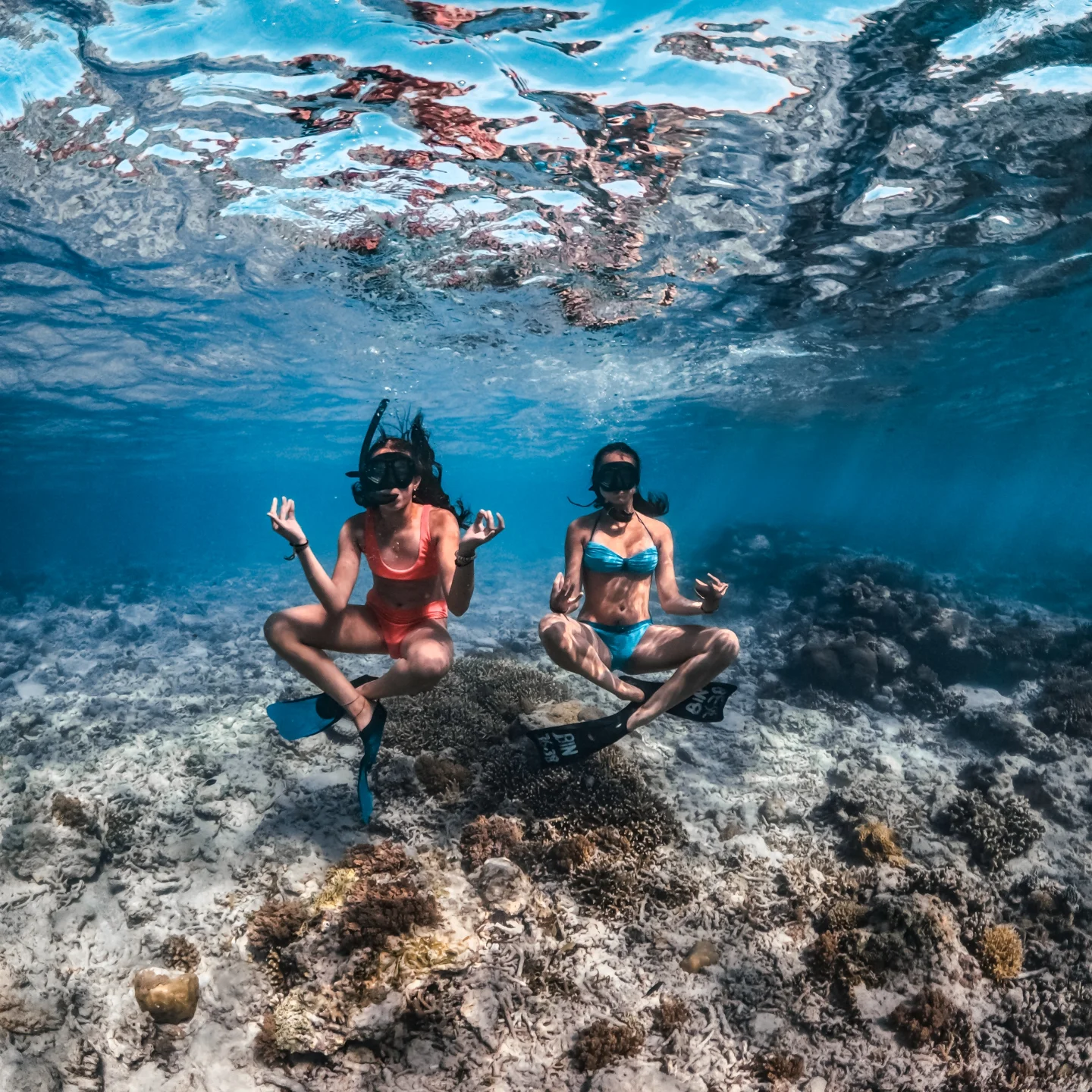 Private Underwater Day